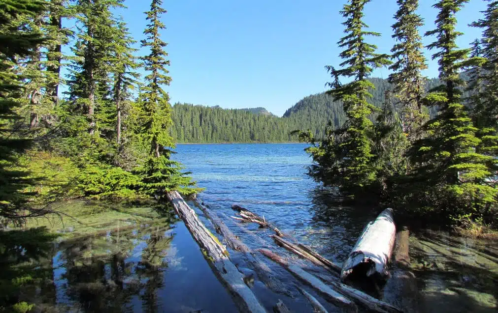 Mt. Rainier Road Conditions | Visit Rainier