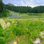 20150628 DSC 8070 6s 1