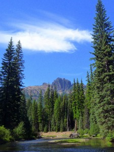 A view of Fifes Peaks from the trail
