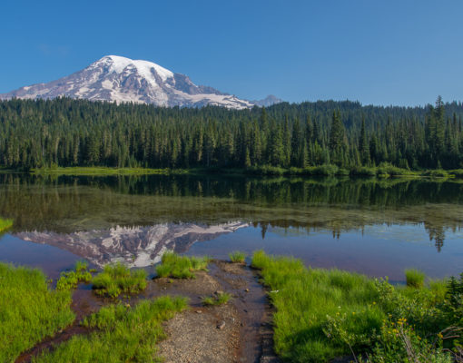 Reflection of Mt Rainier in Reflections Lake
