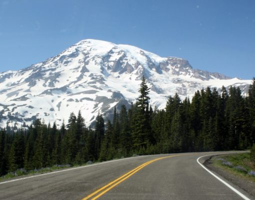 Mt. Rainier from The Road to Paradise