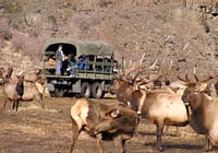 Tour truck at the Elk Feeding Station