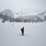 paradiseValley whiteout lg1