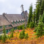 Lodging during the fall