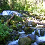 Cataract Creek at Carbon Glacier Trail
