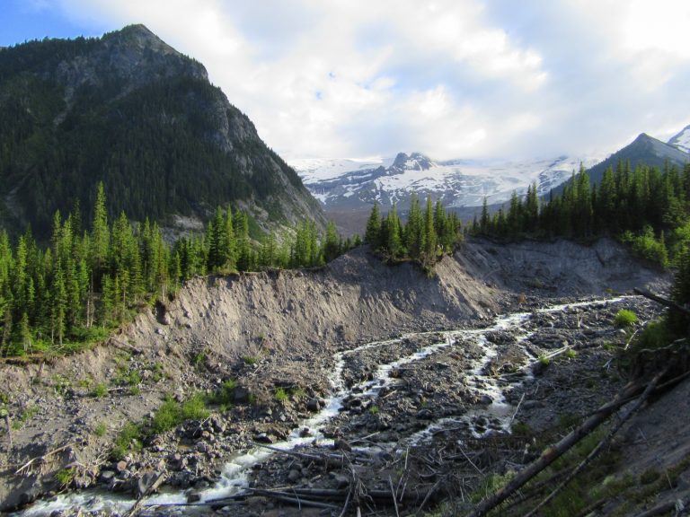 Glacier Basin Visit Rainier