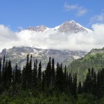 Rainier from ridge high point