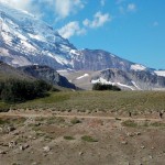 en route to burroughs