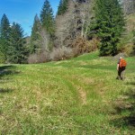 meadow where Melmont town once stood