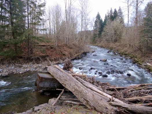 Millpond and Smallwood Parks