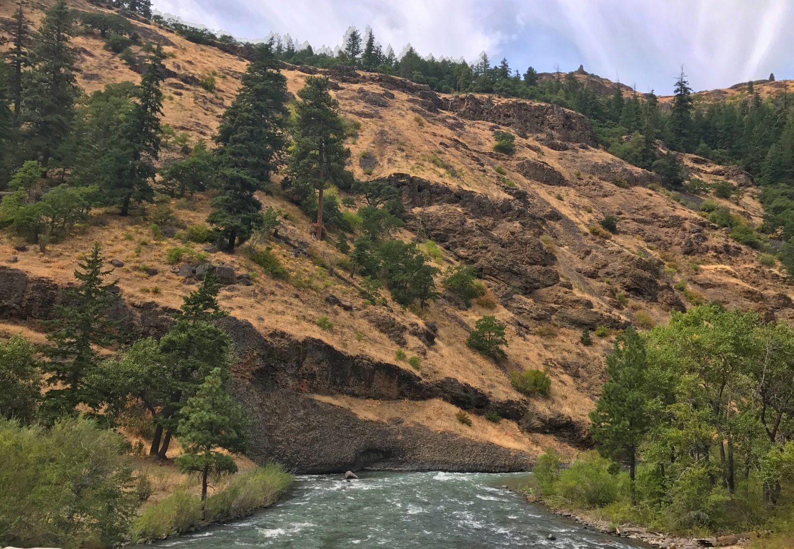 Mt. Rainier Road Trip - Visit Rainier