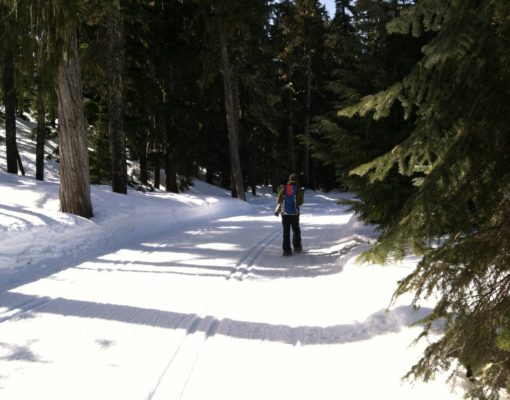 Walking on the snow-covered Lake Loop