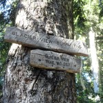 Important junction sign