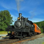 Loco Oblique Cropped