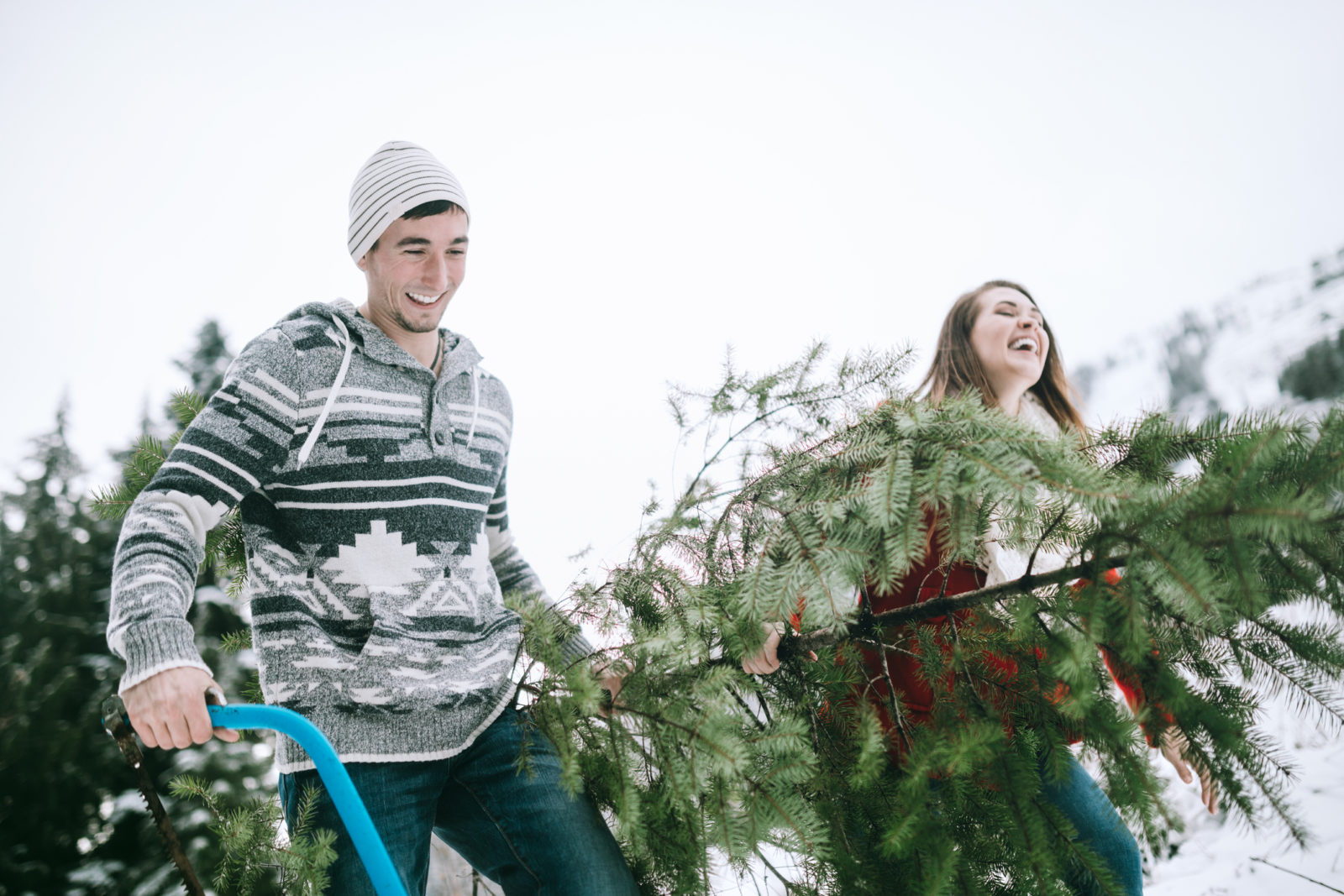 Cutting Your Own Christmas Tree in the Mt. Rainier Area? | Visit Rainier