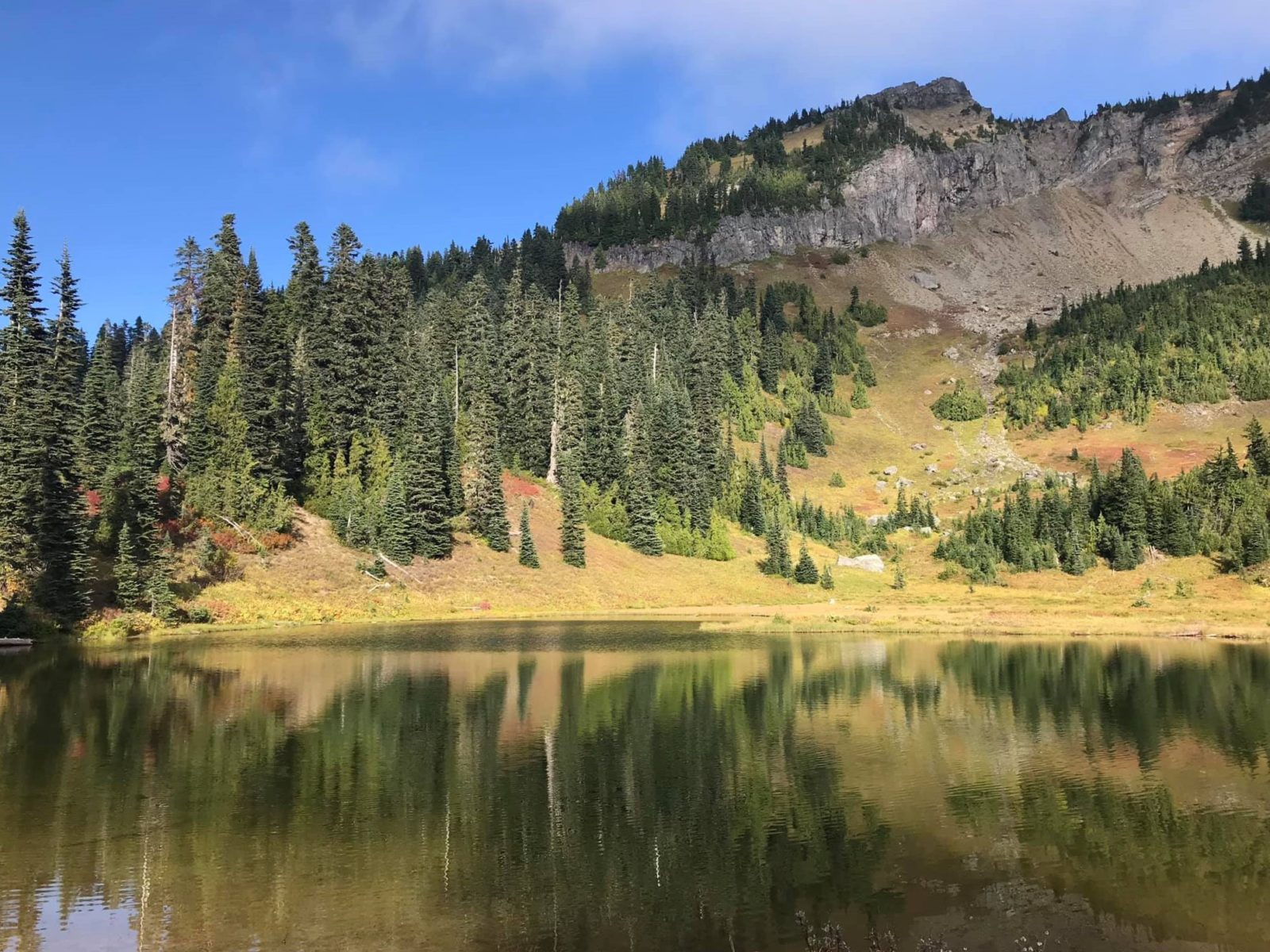 Tipsoo Lake Scenery