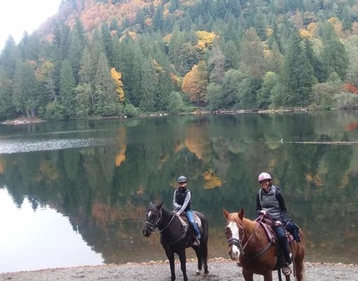 Horse riders on a guided trail ride at Echo River Ranch
