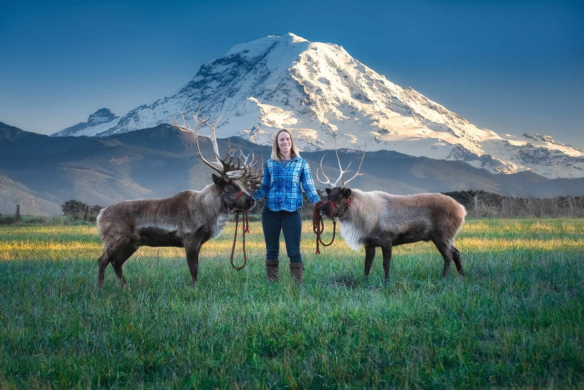 Visit the Rainier Reindeer Ranch