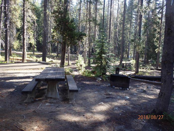 Campsite at Lodgepole Campground