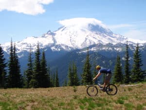Summer Mountain Biking