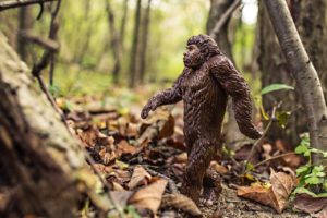 animal bigfoot evolution 4075
