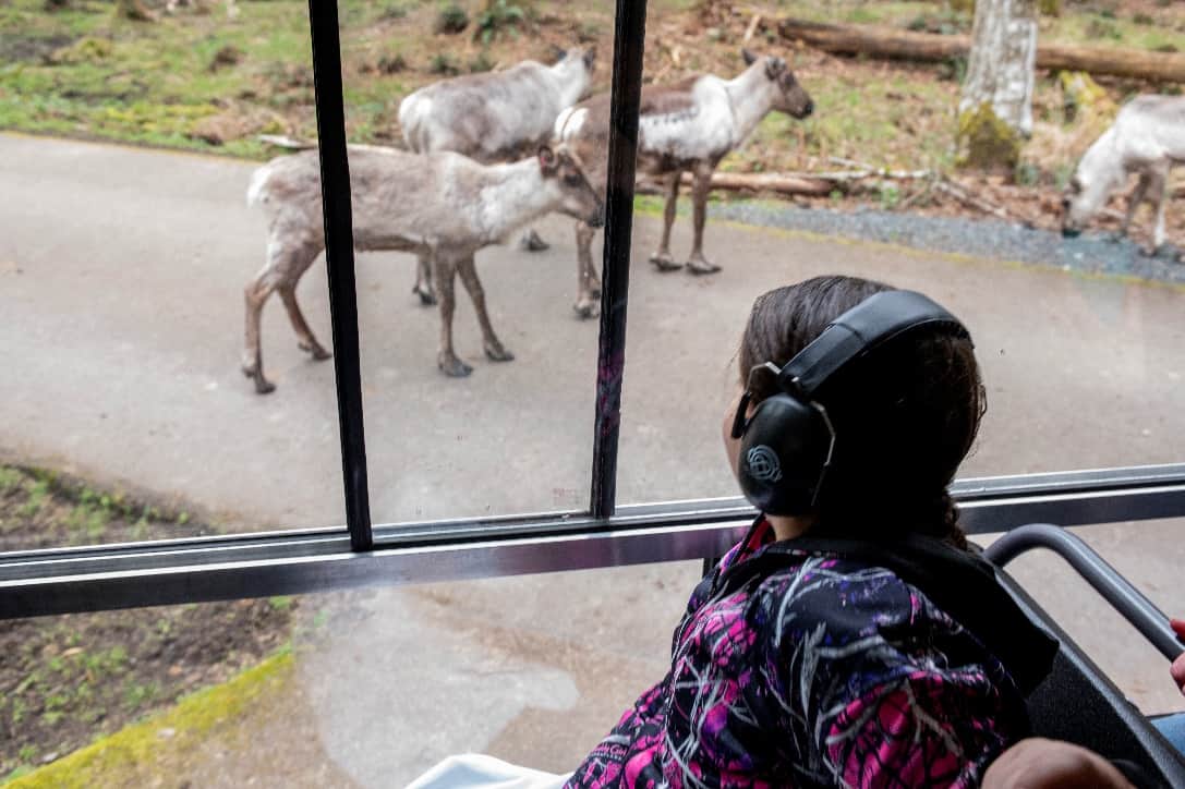 New Sensory Inclusive | Northwest Trek Wildlife Park