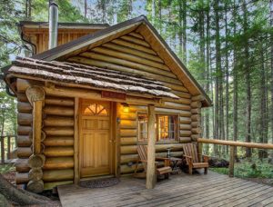 Mt Home Log Cabin