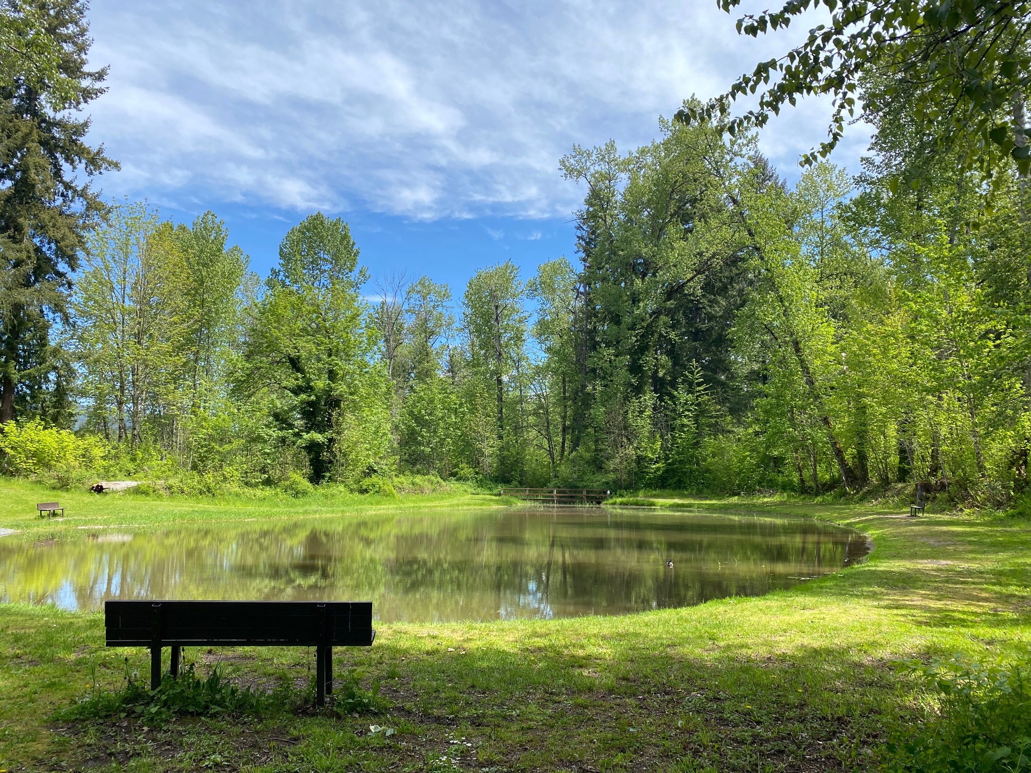 Little Mashel Falls – Pack Forest