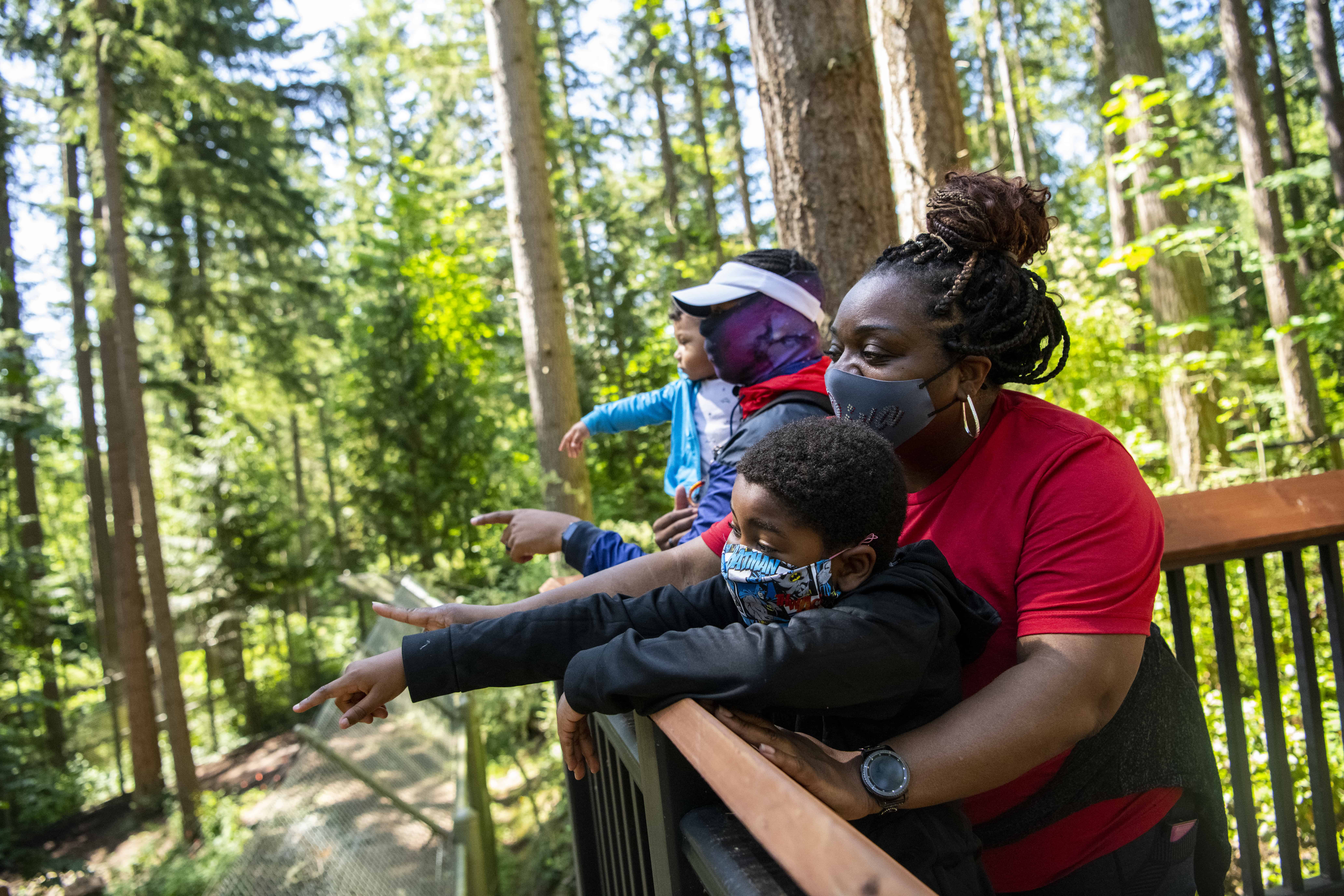 family pointing at Grizzly Bears while standing on the new viewpoint at Northwest Trek Wildlife Park