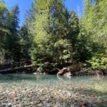 Beautiful scenery at Grove of the Patriarchs scaled