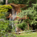 Exterior of Treehouse at Wellspring