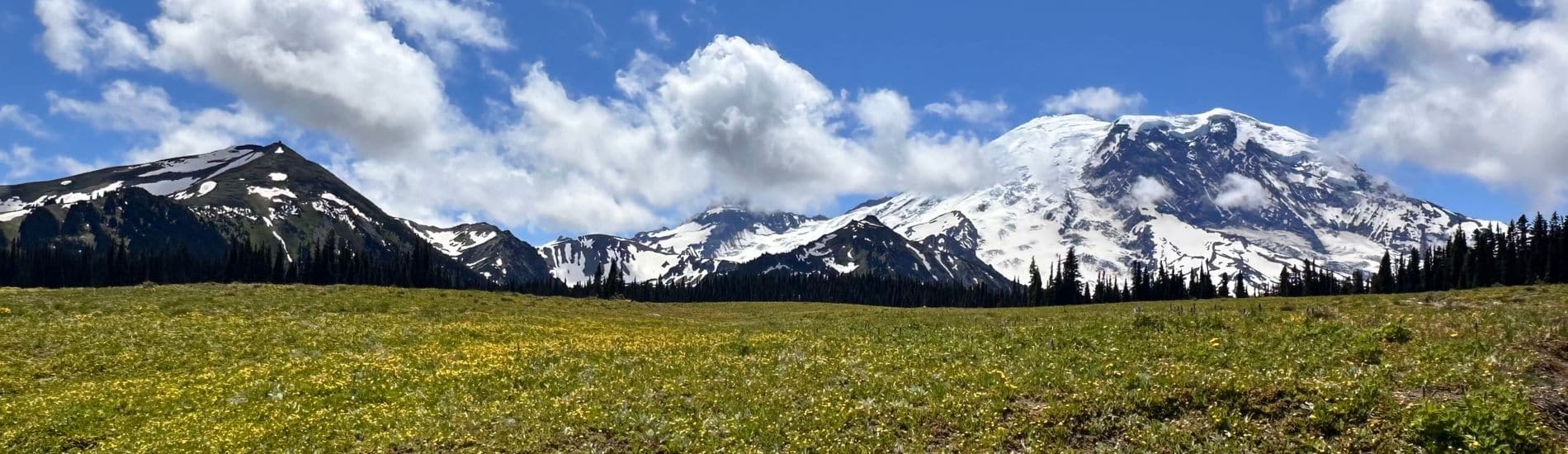 Grand Park view of Rainier summer 2025