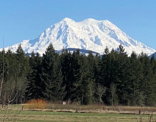 View of Mount Rainier from Dogwood Park