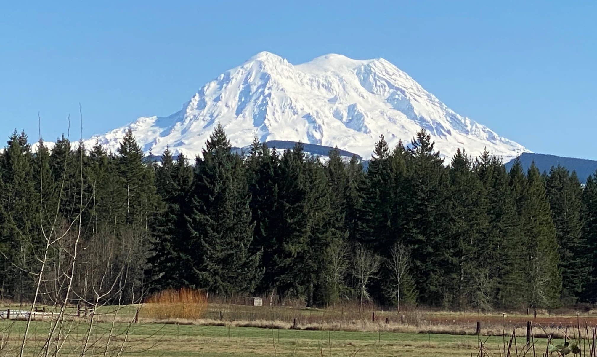 View of Mount Rainier from Dogwood Park