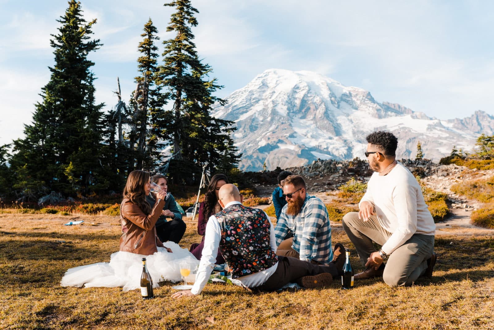 Wedding group at Mount Rainier National Park