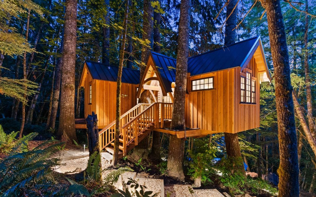Treetop Wonders: Discover the Treehouses of Ashford, WA