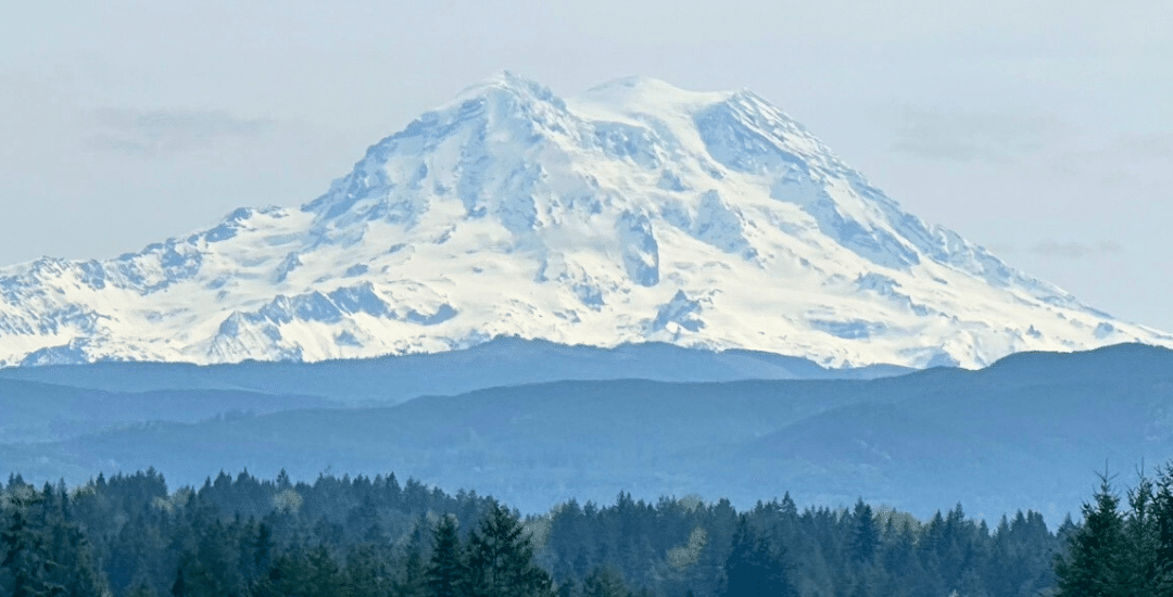 Visit Rainier Itinerary | Wildlife and Waterfalls