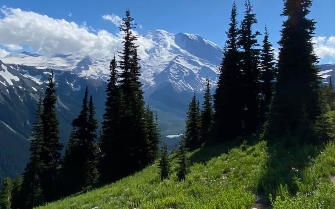 Visit Rainier Itinerary | Peak Pursuits