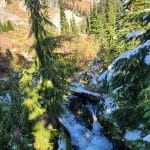 Scenery at Mount Rainier