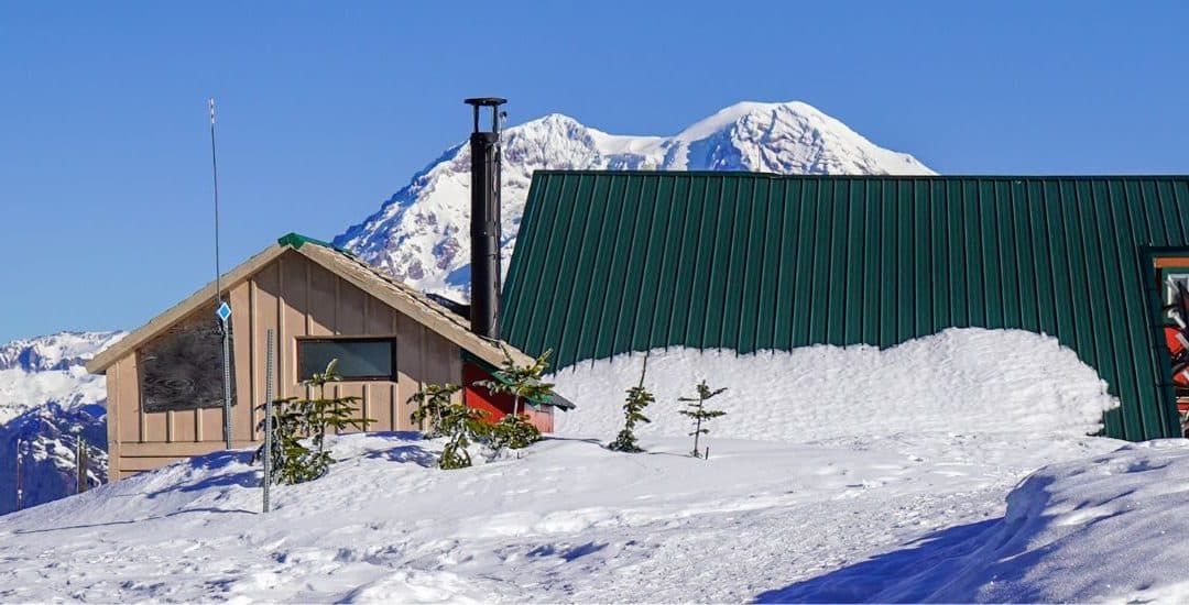 Dog-Friendly Winter Adventure