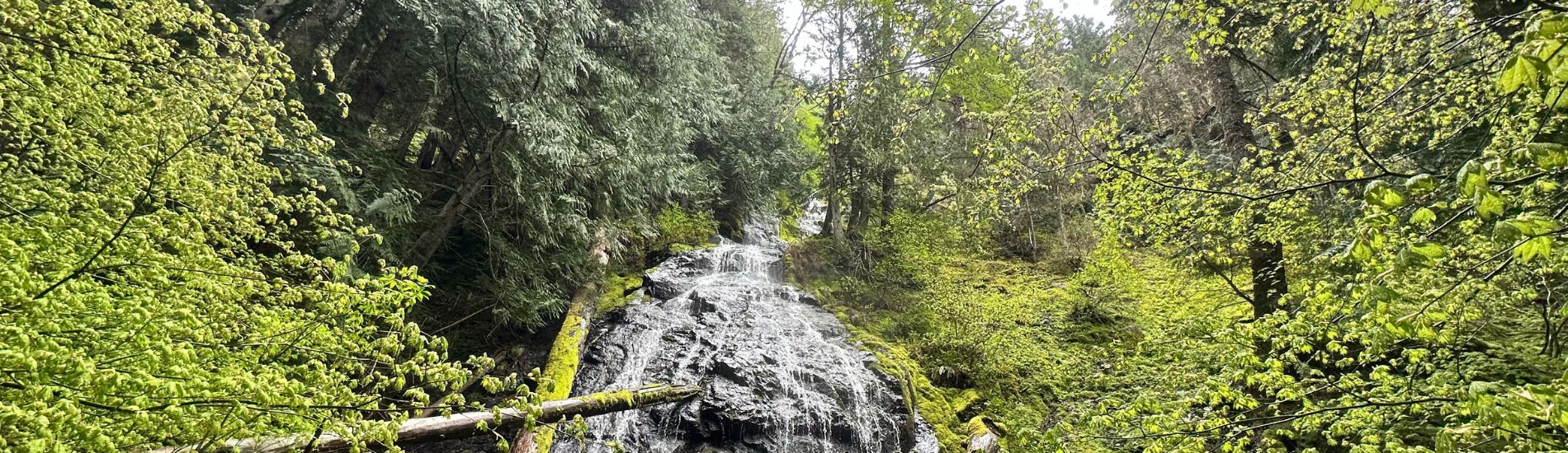 Palisades Trail Dalles Falls